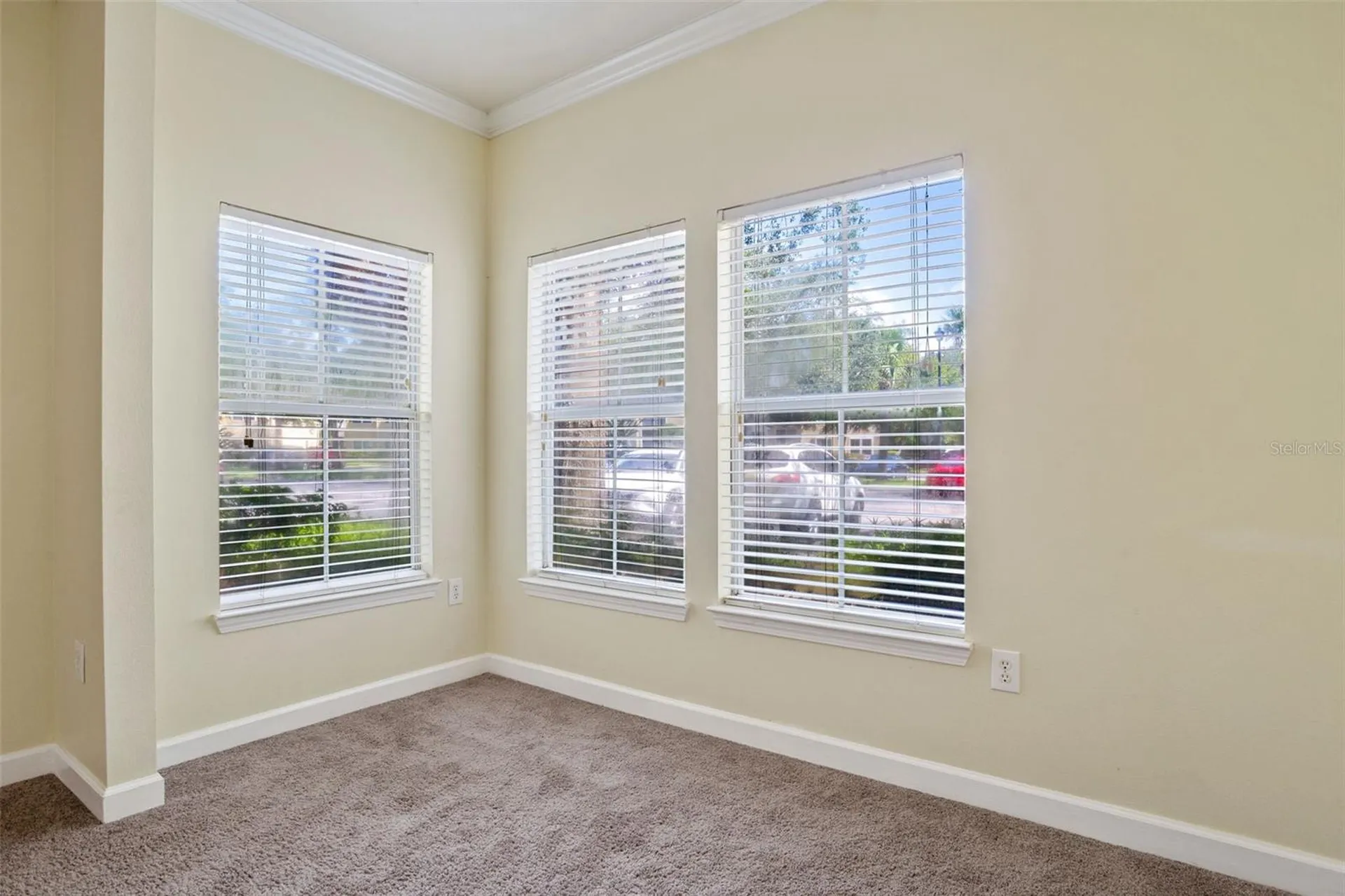 18332 Bridle Club Drive Tampa FL 33647