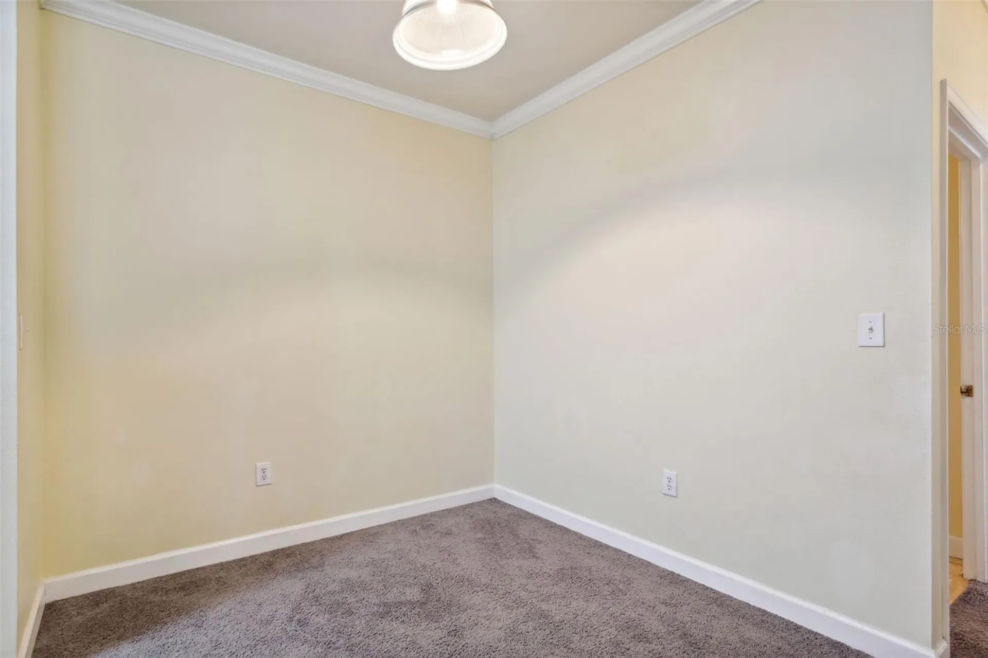 18332 Bridle Club Drive Tampa FL 33647