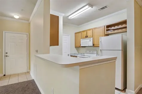 18332 Bridle Club Drive Tampa FL 33647