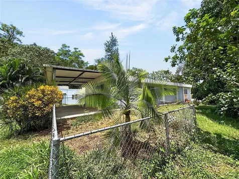 Bayamon PR 00956