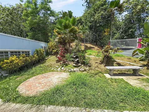 Bayamon PR 00956
