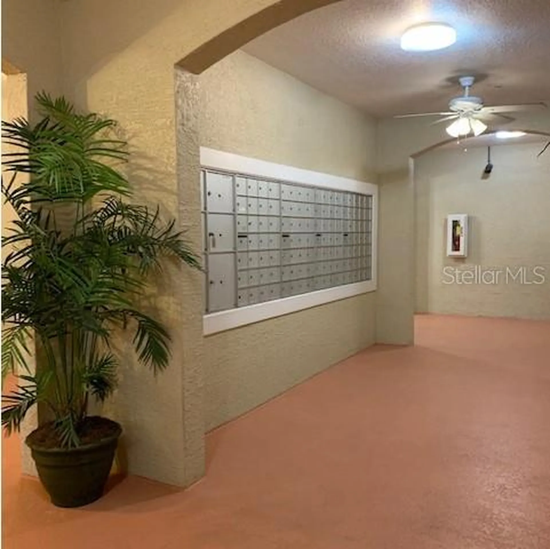1216 S Missouri Avenue Clearwater FL 33756