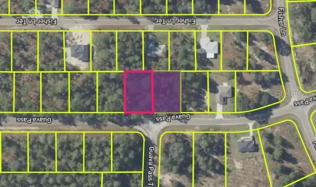 9037-1222-05 Ocklawaha FL 32179