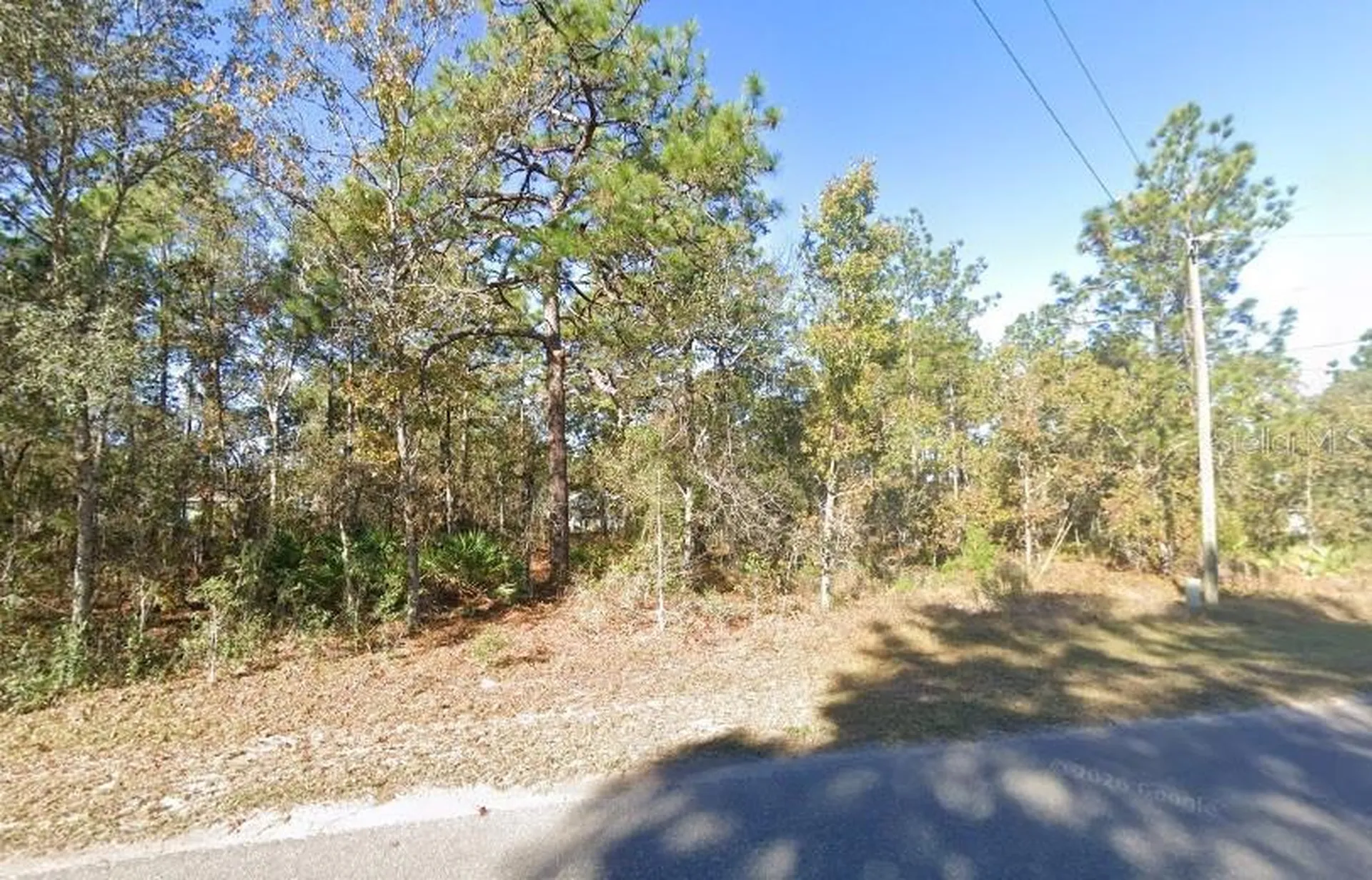 9037-1222-05 Ocklawaha FL 32179