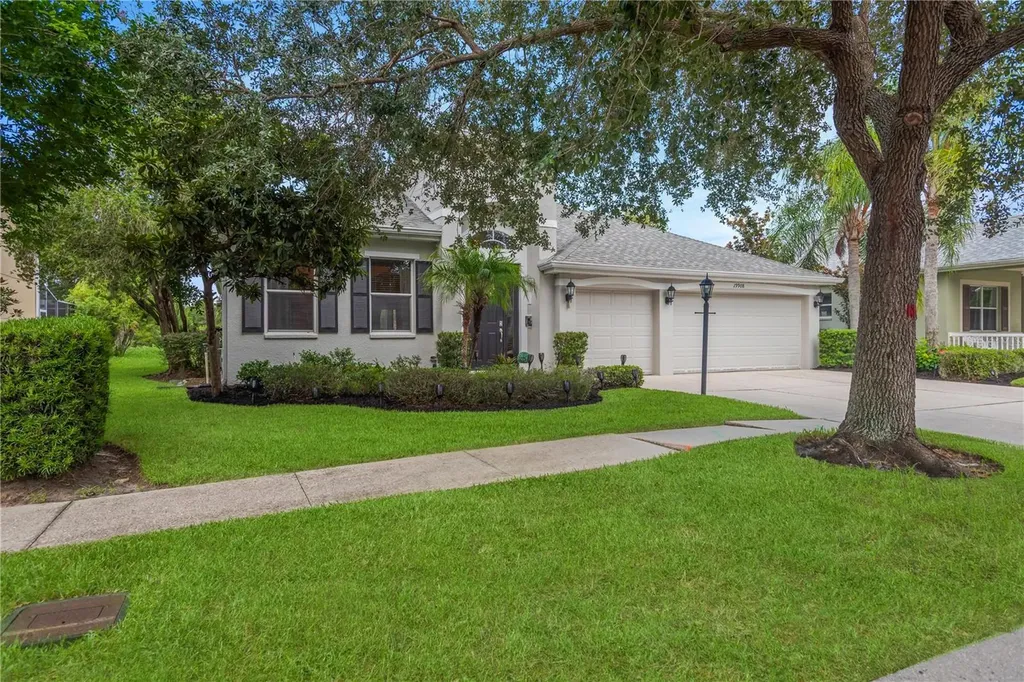 19908 Bluff Oak Boulevard Tampa FL 33647