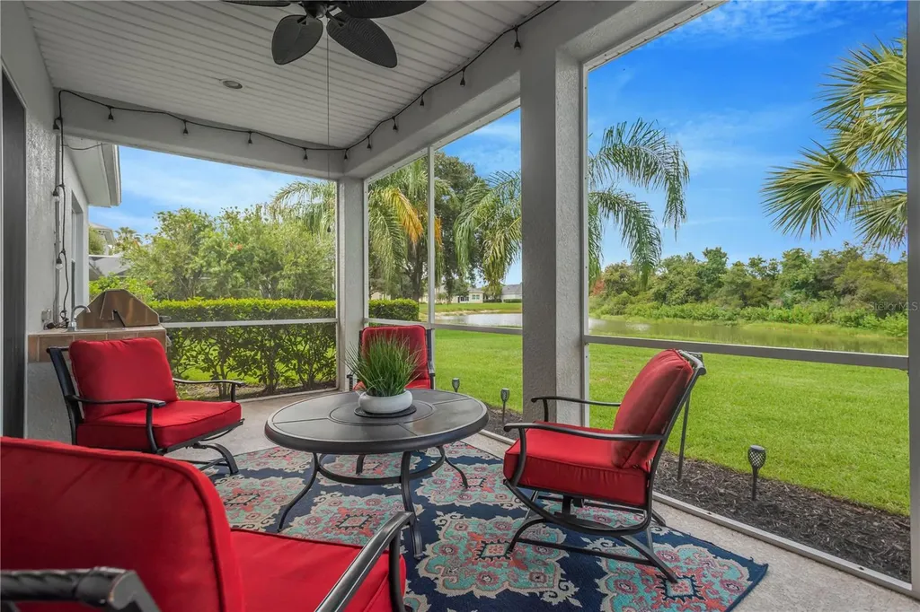 19908 Bluff Oak Boulevard Tampa FL 33647