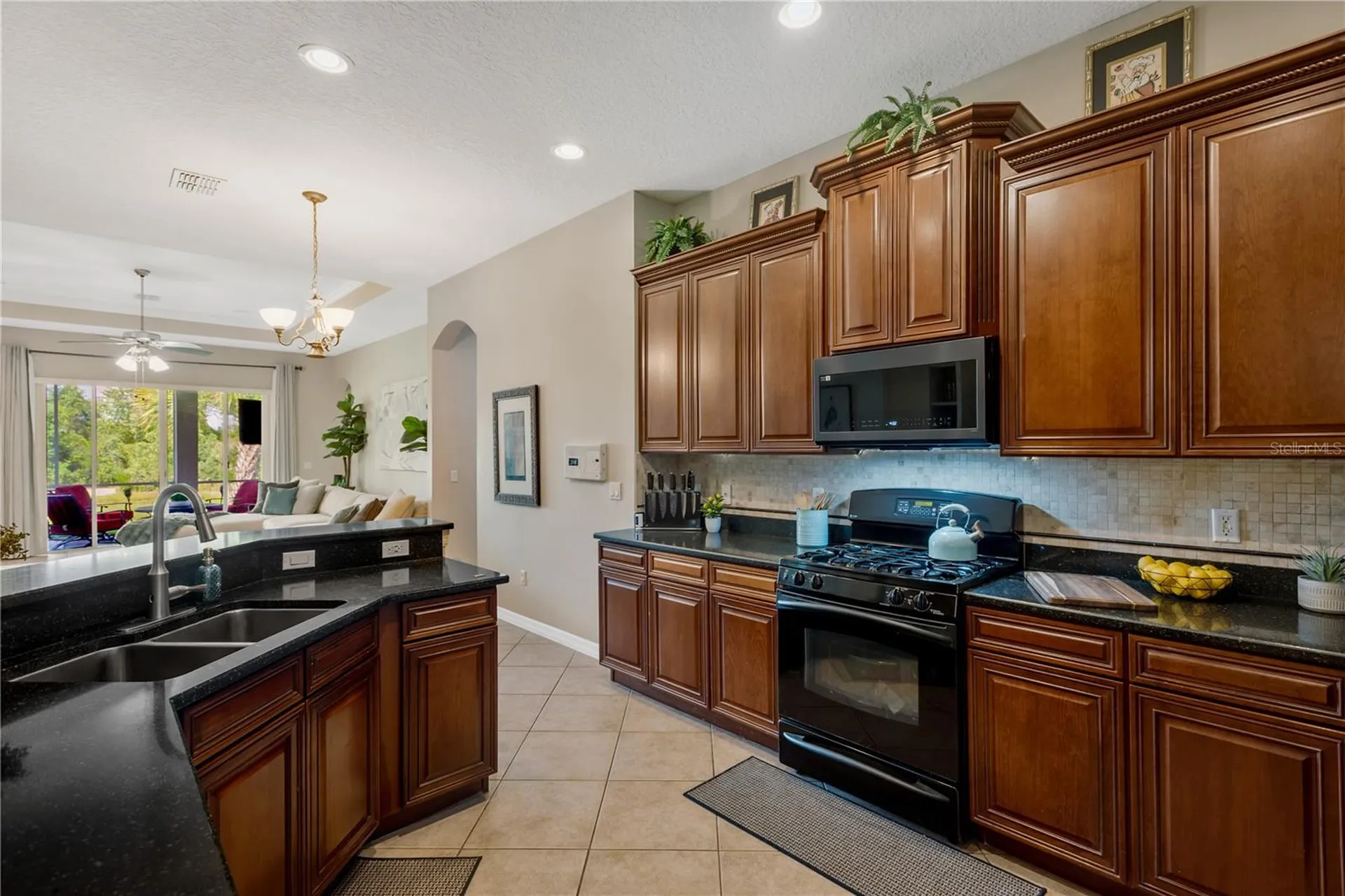 19908 Bluff Oak Boulevard Tampa FL 33647
