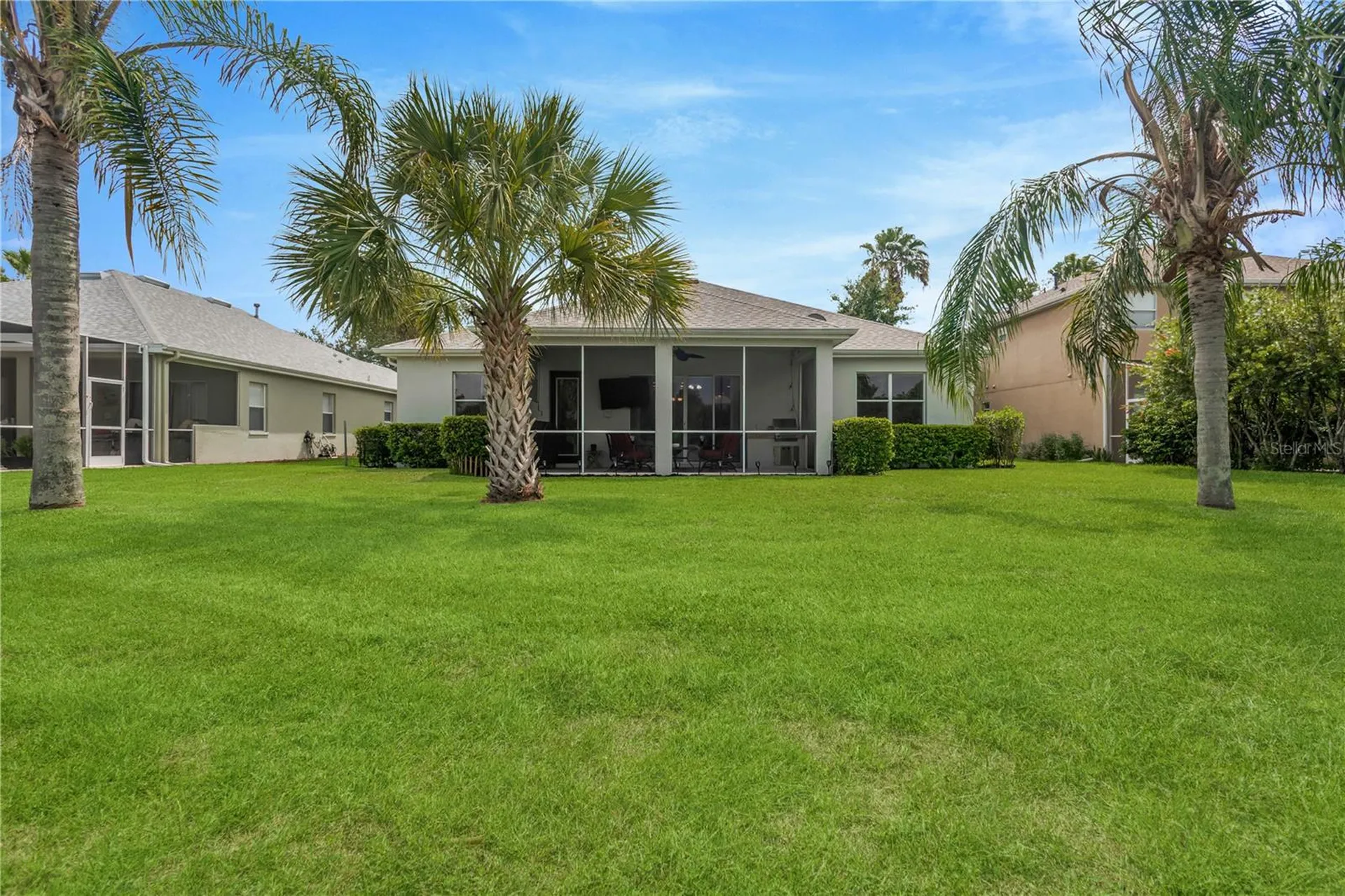 19908 Bluff Oak Boulevard Tampa FL 33647