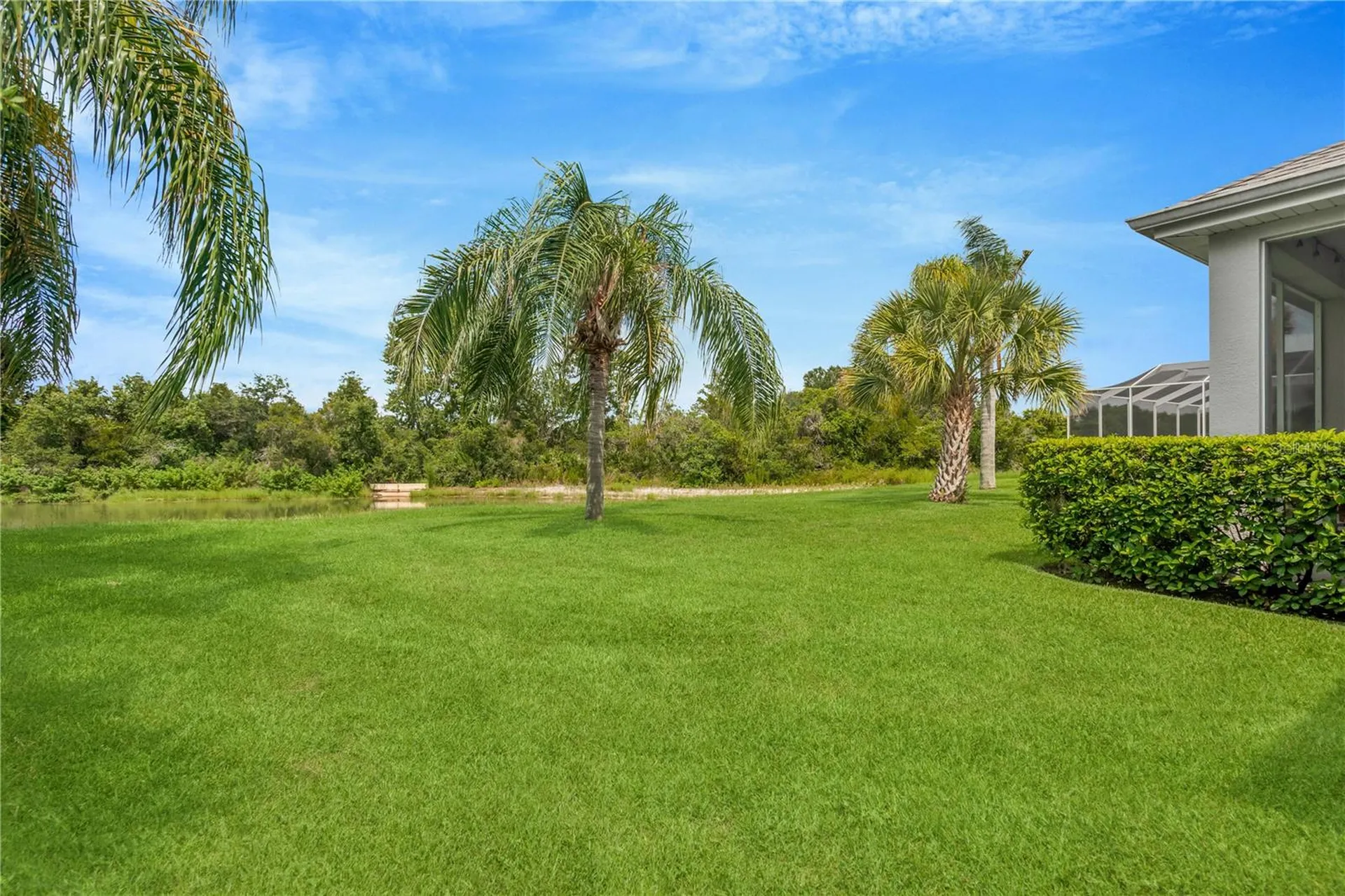 19908 Bluff Oak Boulevard Tampa FL 33647