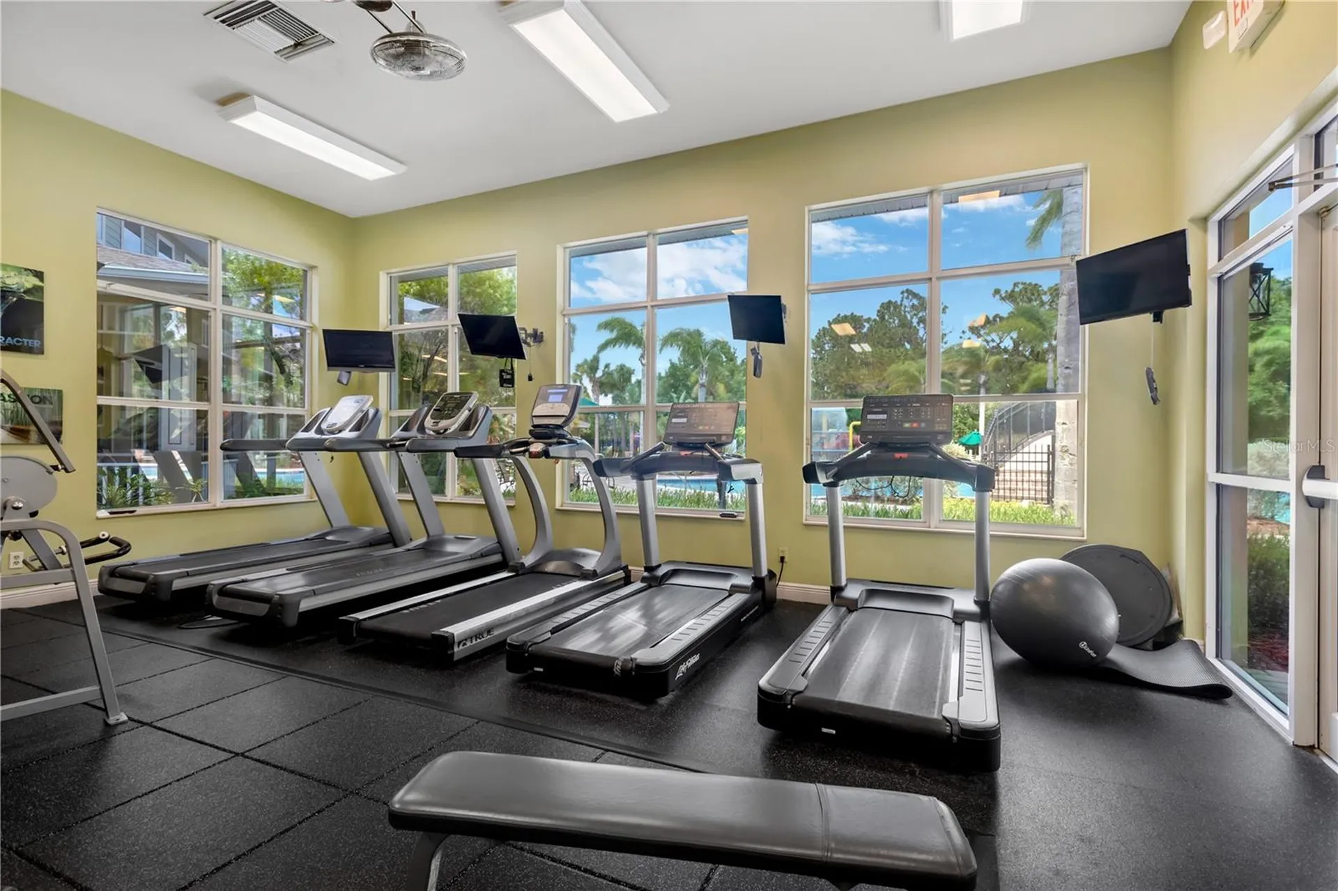 19908 Bluff Oak Boulevard Tampa FL 33647