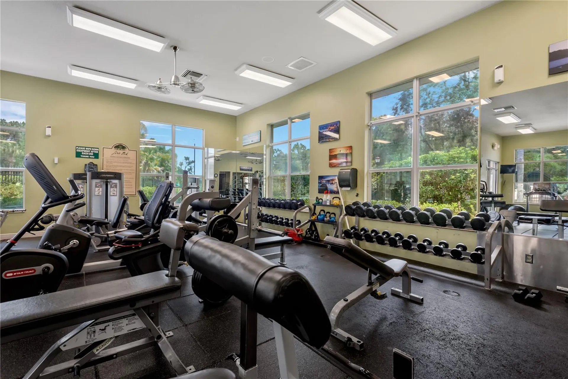19908 Bluff Oak Boulevard Tampa FL 33647