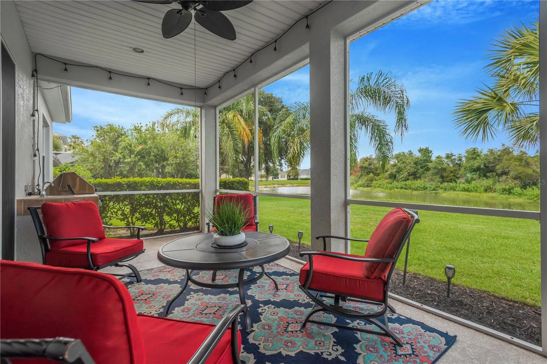 19908 Bluff Oak Boulevard Tampa FL 33647