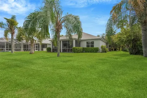 19908 Bluff Oak Boulevard Tampa FL 33647