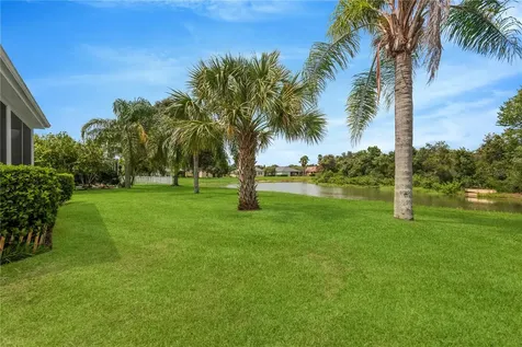 19908 Bluff Oak Boulevard Tampa FL 33647