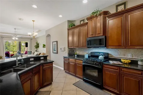 19908 Bluff Oak Boulevard Tampa FL 33647