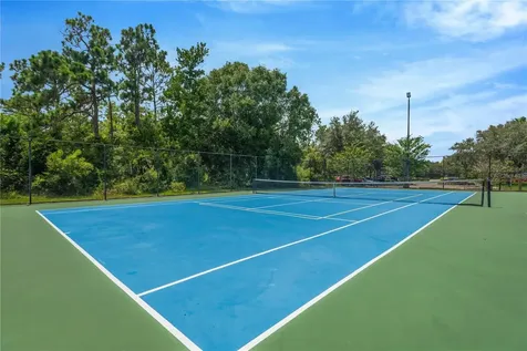 19908 Bluff Oak Boulevard Tampa FL 33647