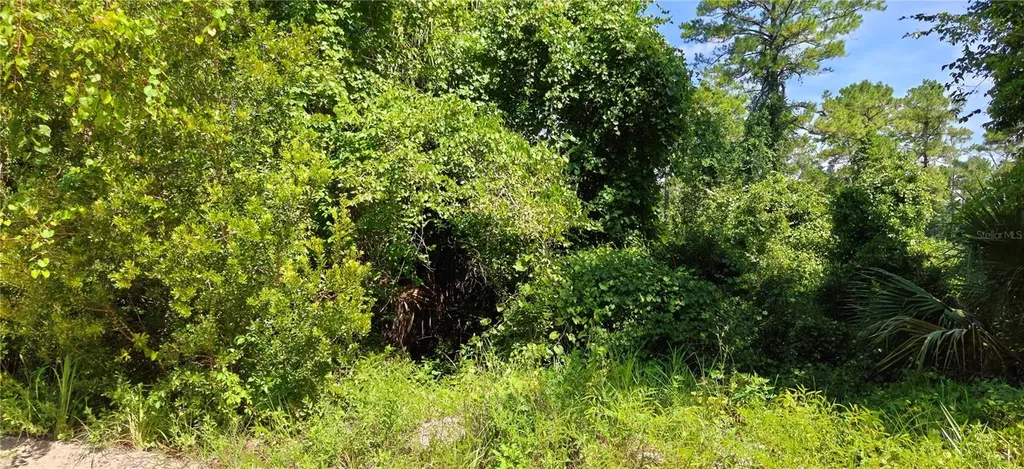 212 N 2nd Avenue Satsuma FL 32189