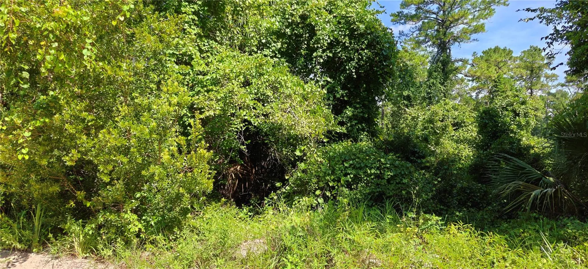 212 N 2nd Avenue Satsuma FL 32189