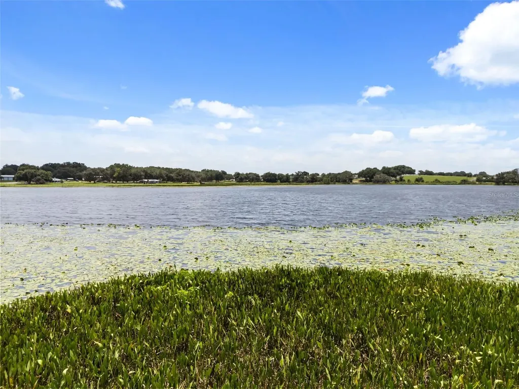 860 Brooklet Drive Davenport FL 33837