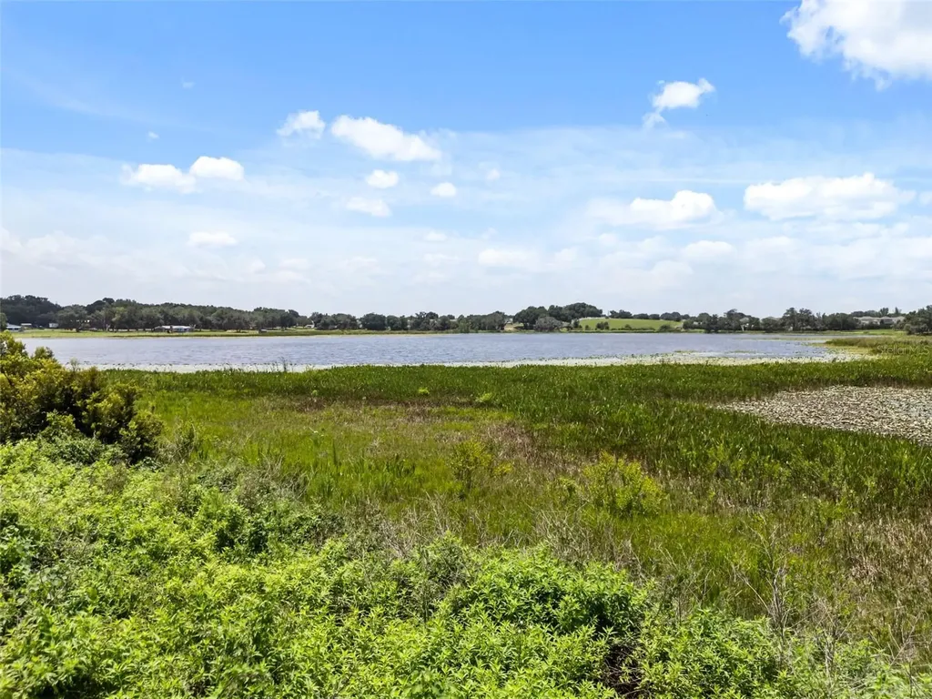 860 Brooklet Drive Davenport FL 33837