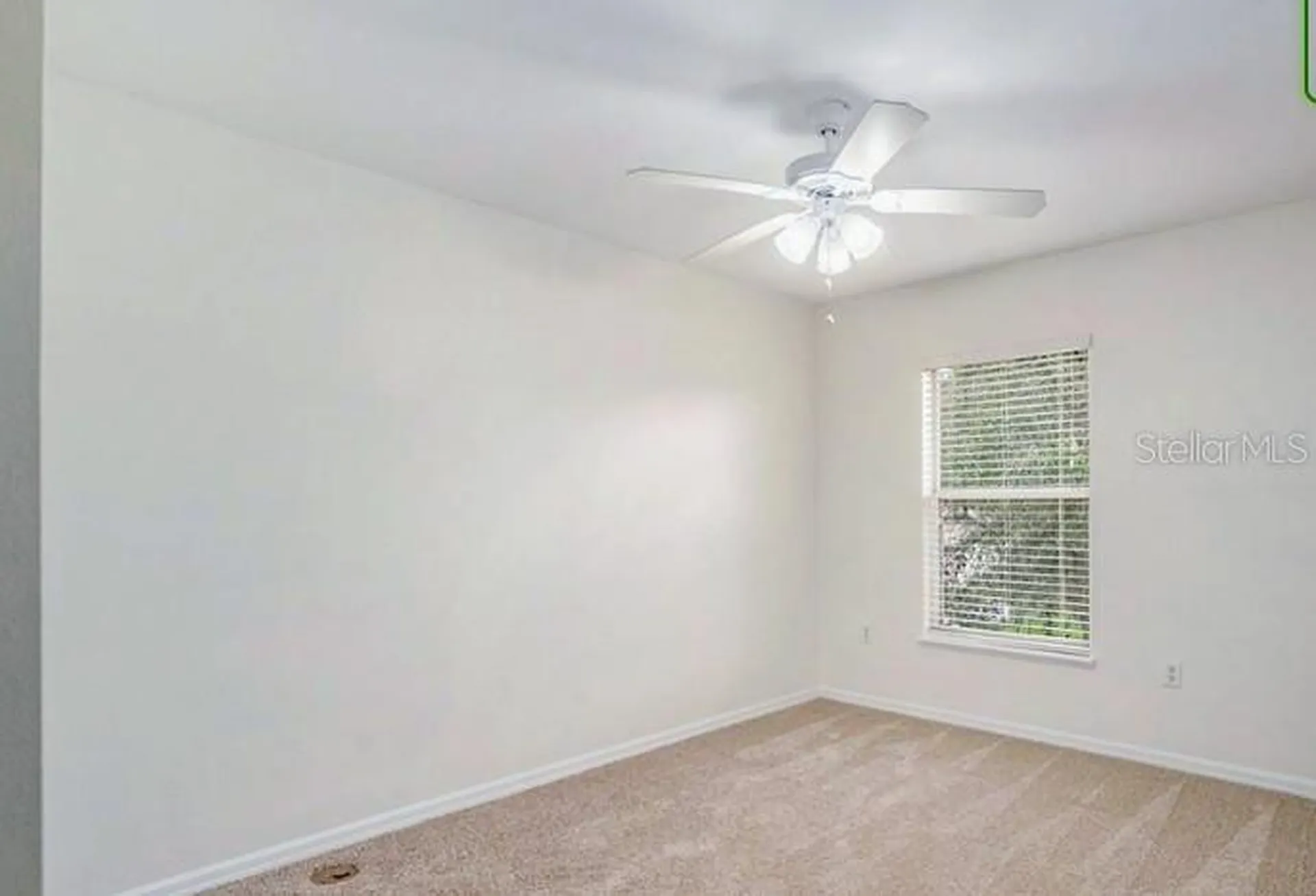 9836 Ashburn Lake Drive Tampa FL 33610
