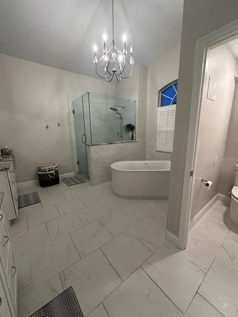 23218 Cypress Trail Drive Lutz FL 33549
