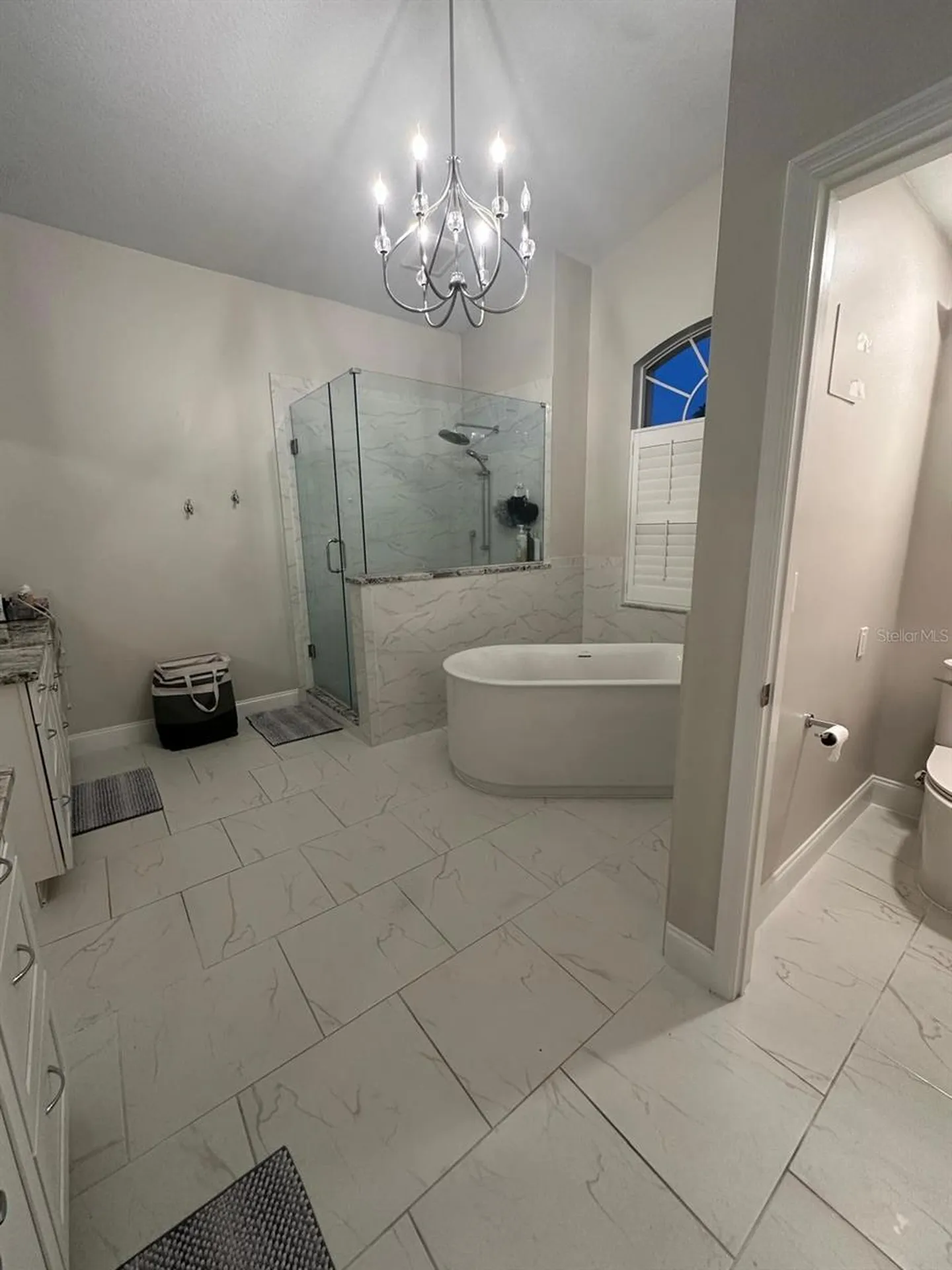 23218 Cypress Trail Drive Lutz FL 33549