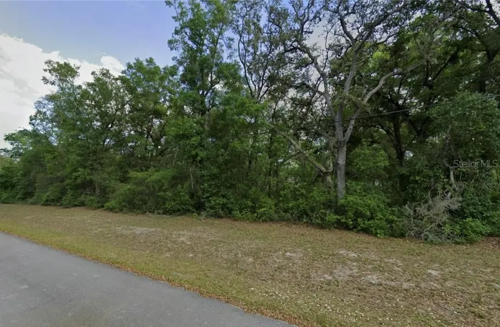 0 SE 59th Place Ocklawaha FL 32179