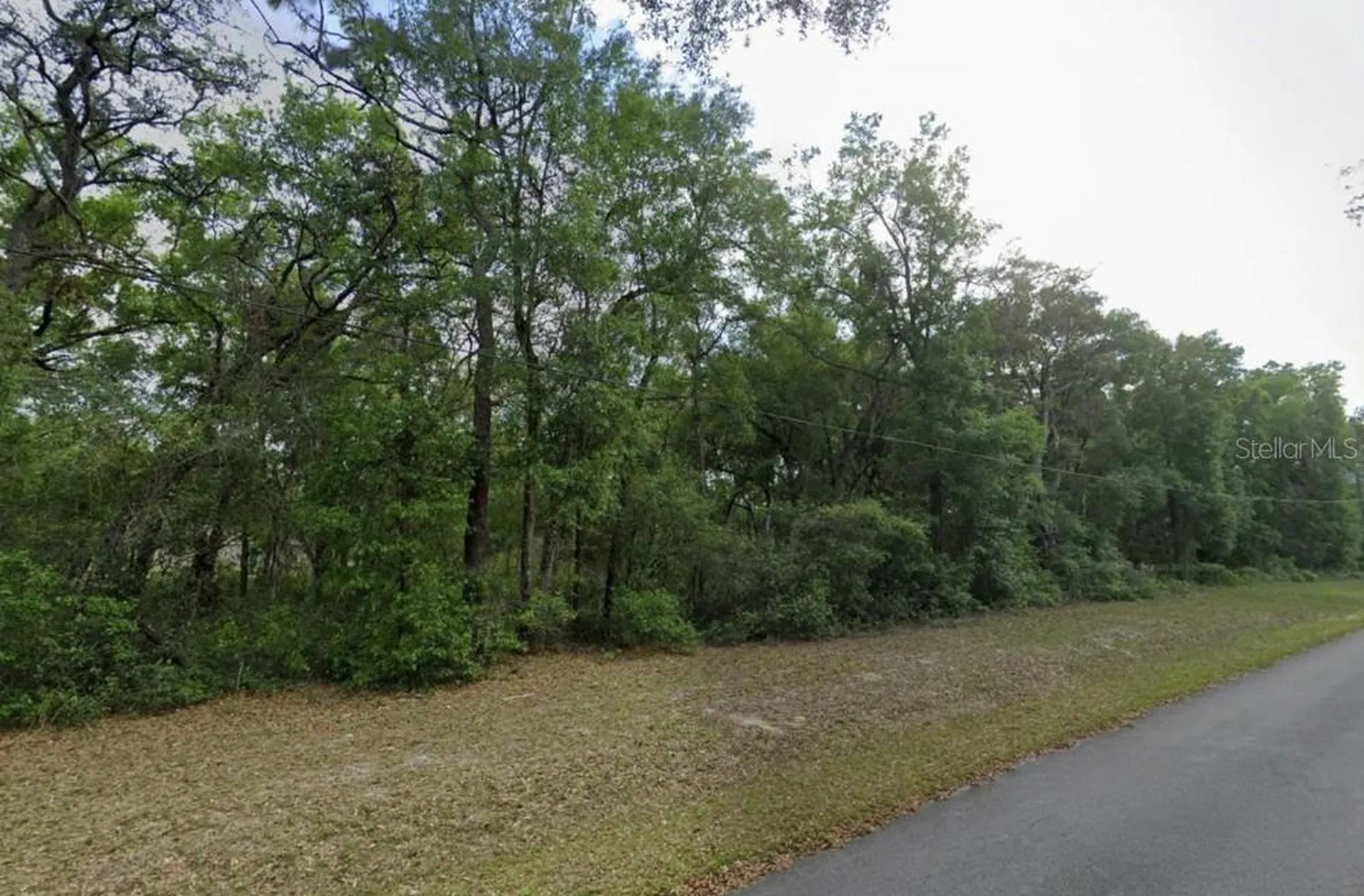 0 SE 59th Place Ocklawaha FL 32179