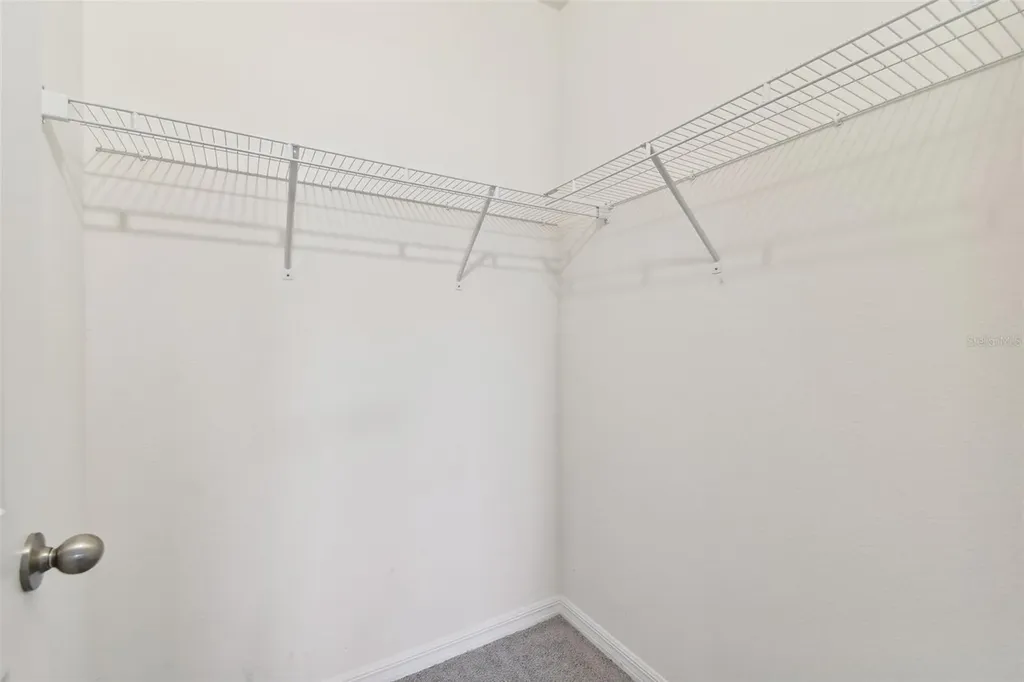 2880 Evergreen Elm Pass Wesley Chapel FL 33543