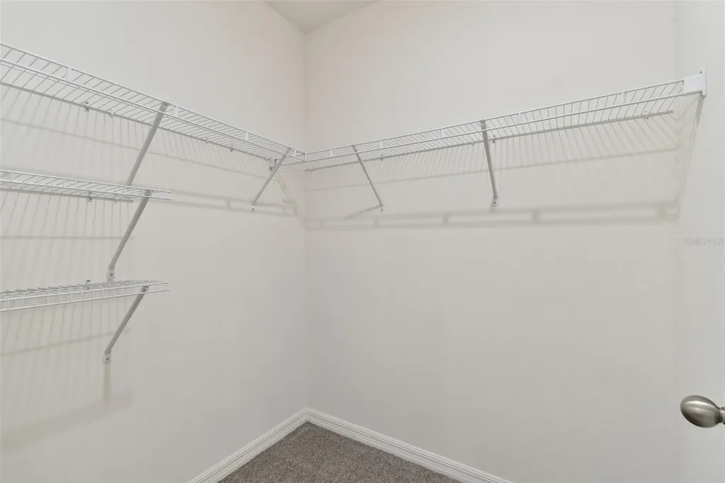 2880 Evergreen Elm Pass Wesley Chapel FL 33543