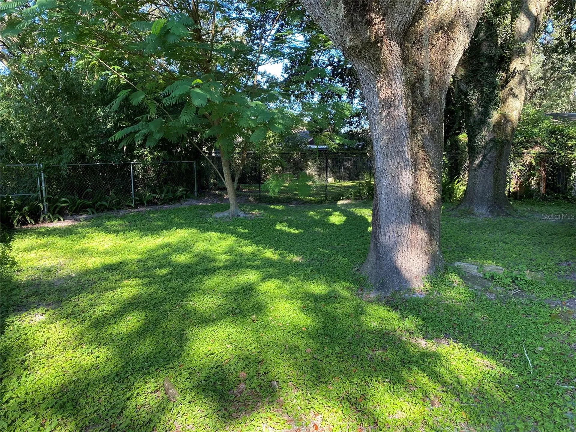 39648 Meadowood Loop Zephyrhills FL 33542