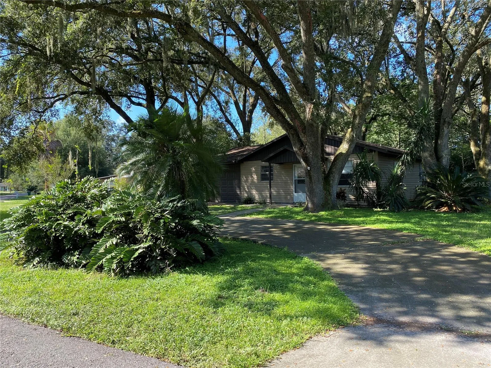 39648 Meadowood Loop Zephyrhills FL 33542