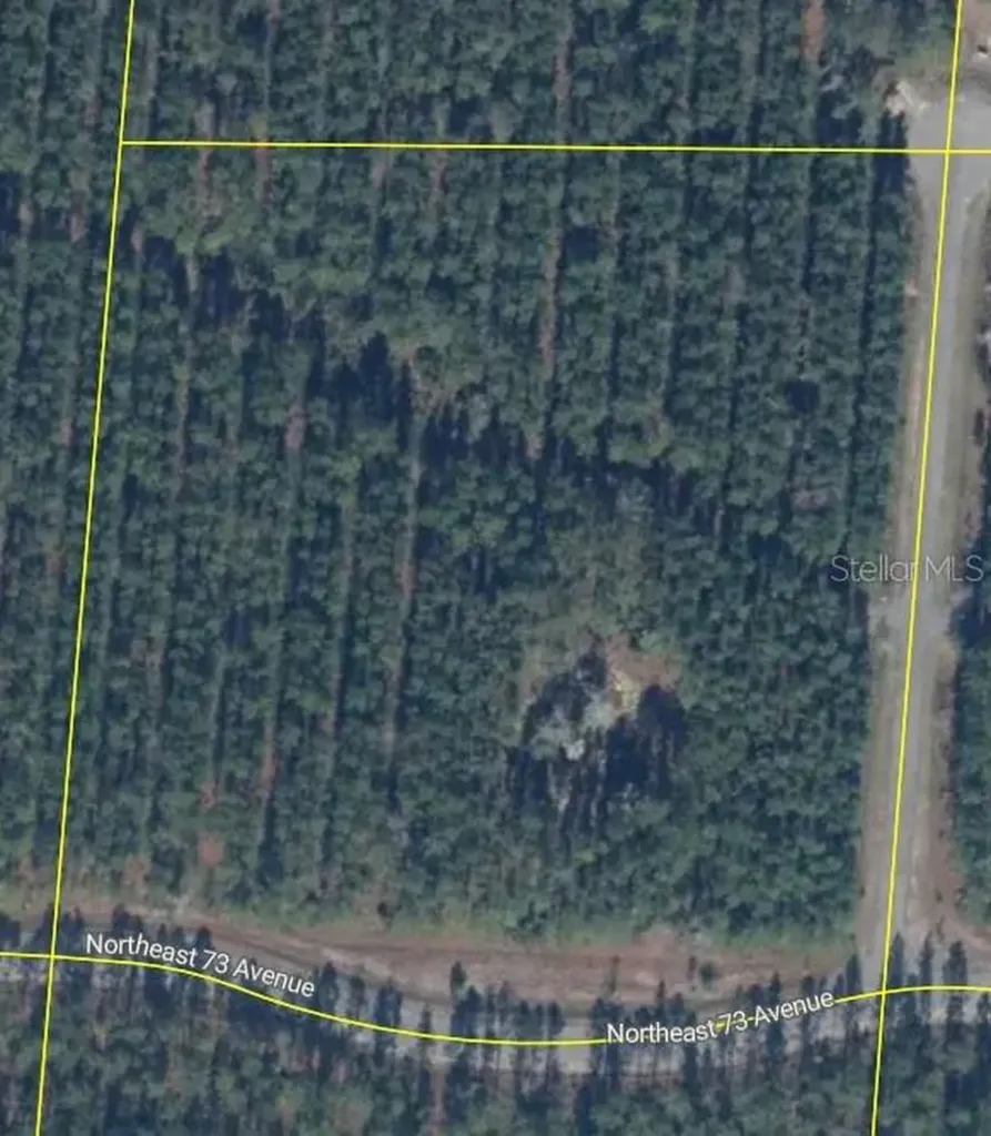 Tbd Melrose FL 32666