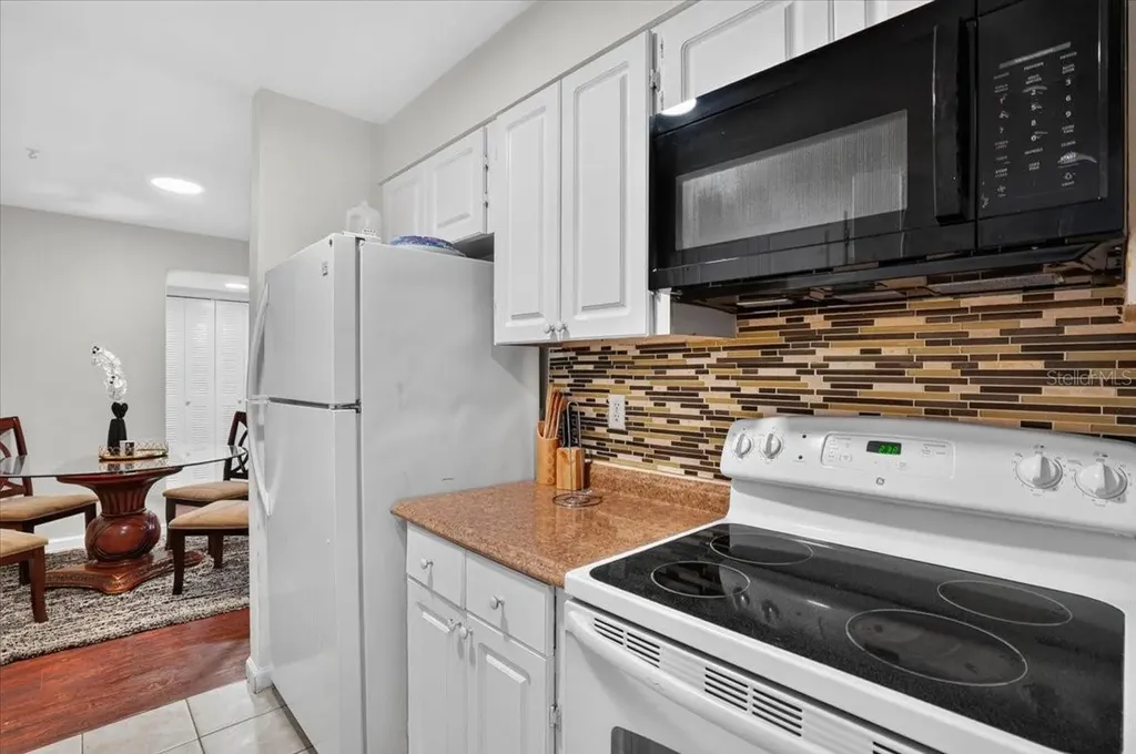 13405 Arbor Pointe Circle Tampa FL 33617
