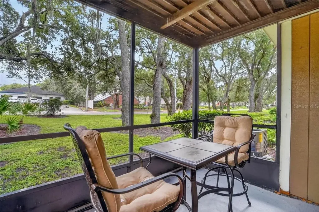 13405 Arbor Pointe Circle Tampa FL 33617