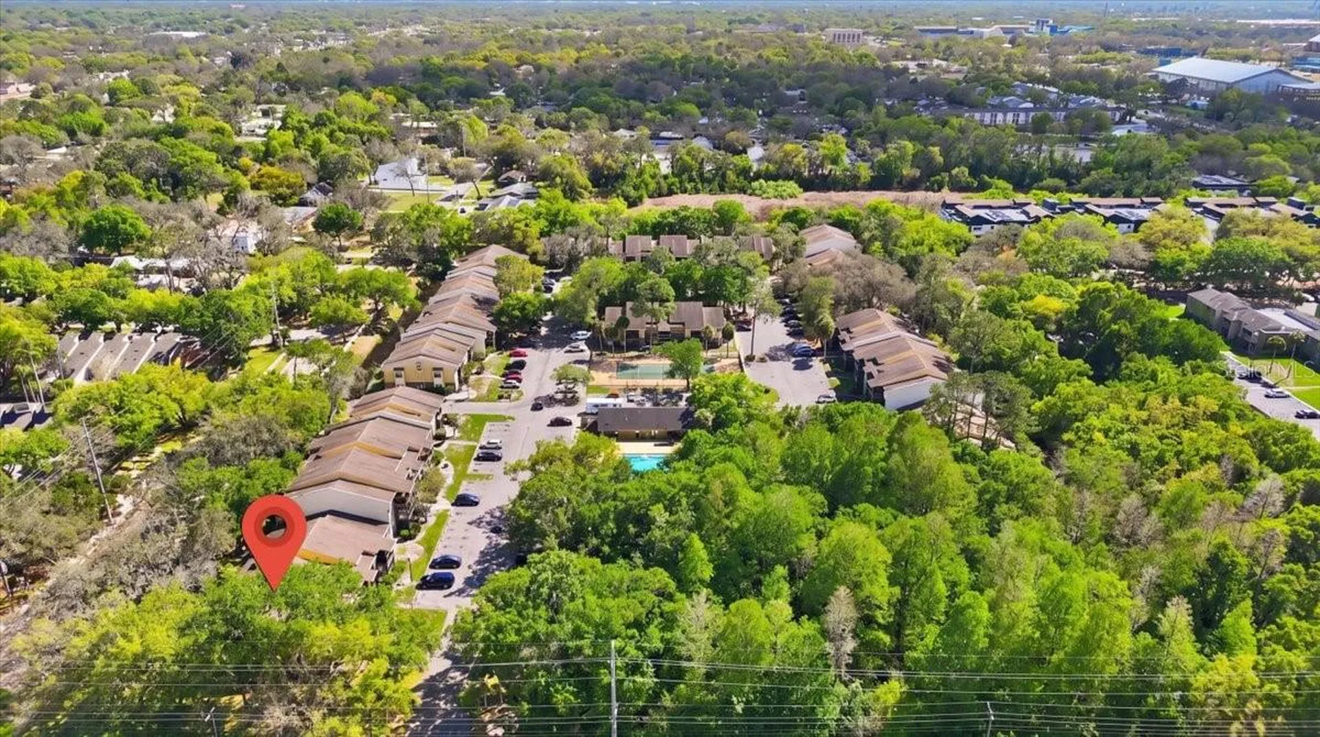 13405 Arbor Pointe Circle Tampa FL 33617
