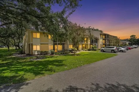 13405 Arbor Pointe Circle Tampa FL 33617