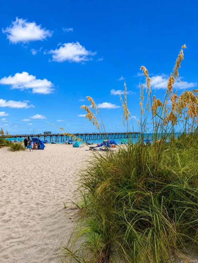 733 Laurel Avenue Venice FL 34285