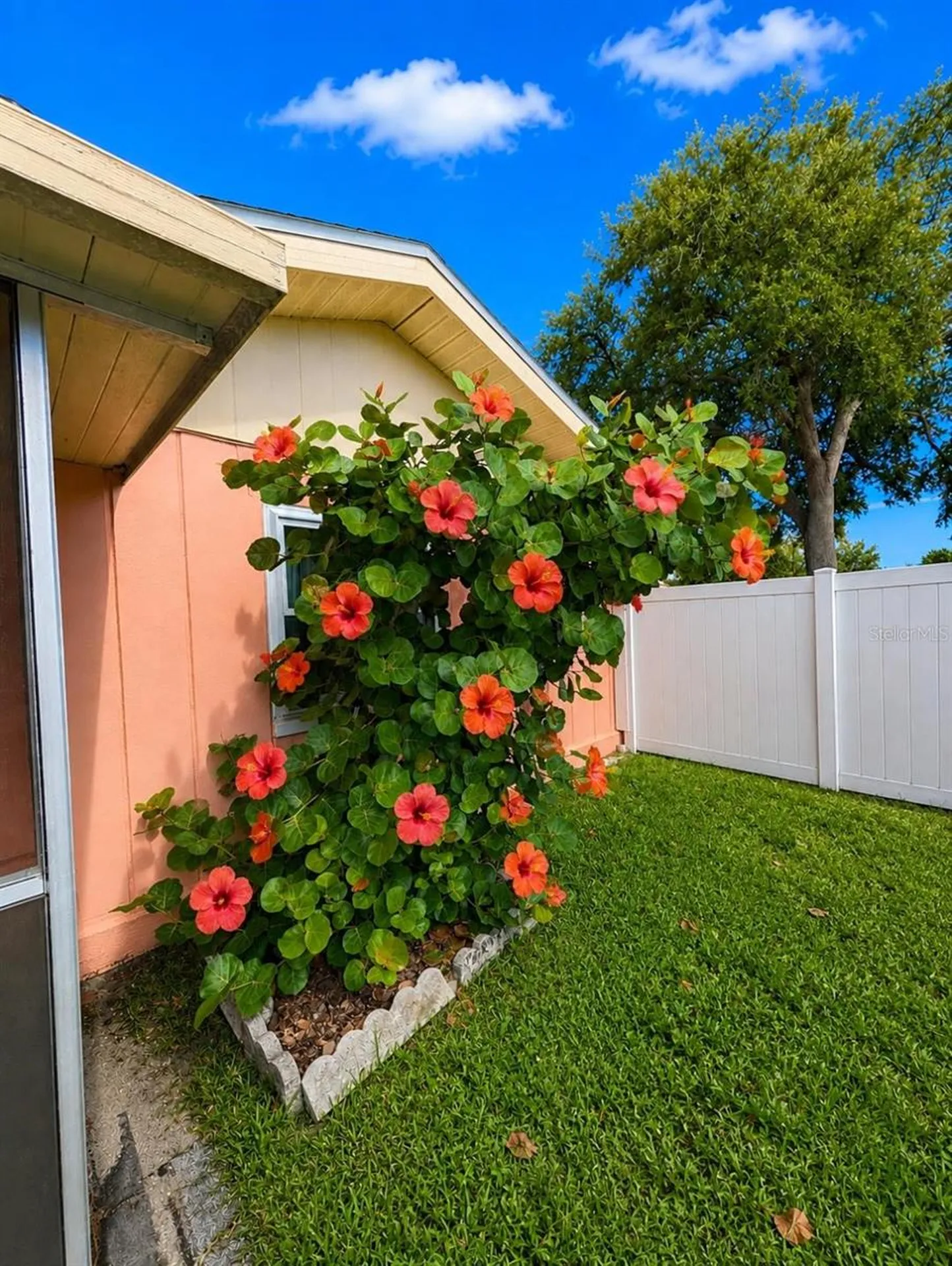 733 Laurel Avenue Venice FL 34285