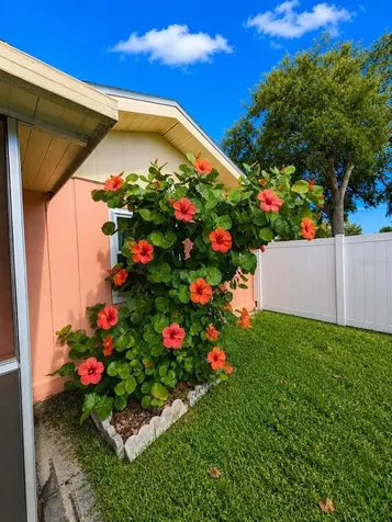 733 Laurel Avenue Venice FL 34285
