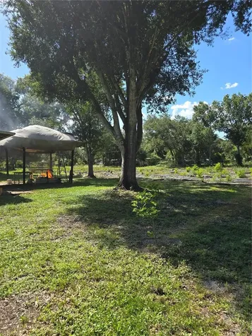 5302 Swaying Palm Drive Punta Gorda FL 33982