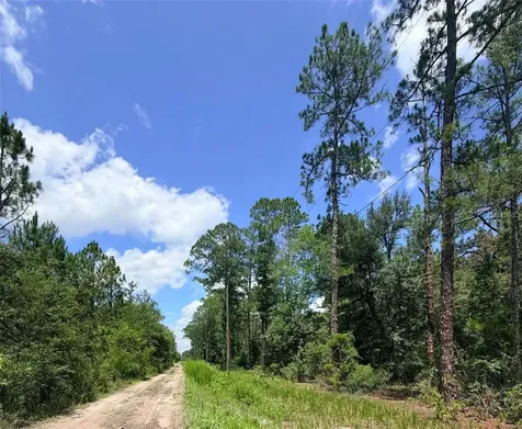 0 NE 132nd Place Citra FL 32113