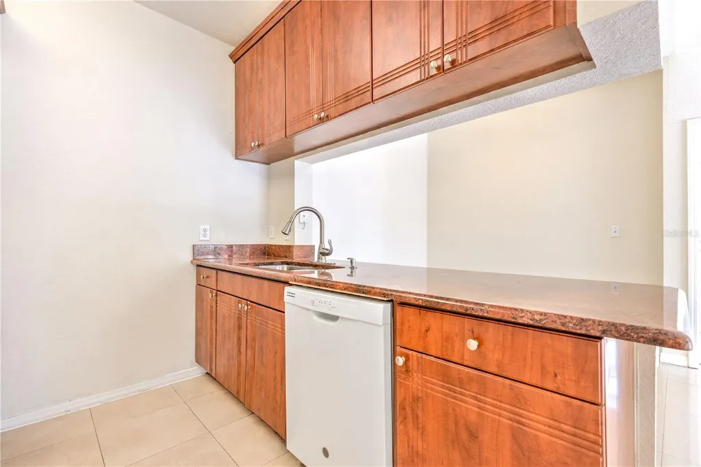 13304 Sanctuary Cove Drive Tampa FL 33637