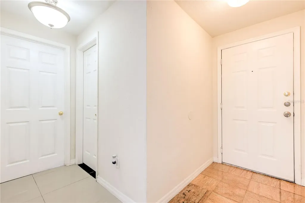 13304 Sanctuary Cove Drive Tampa FL 33637