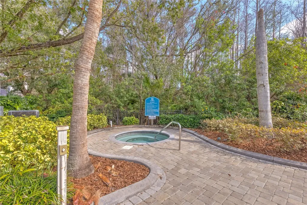 13304 Sanctuary Cove Drive Tampa FL 33637
