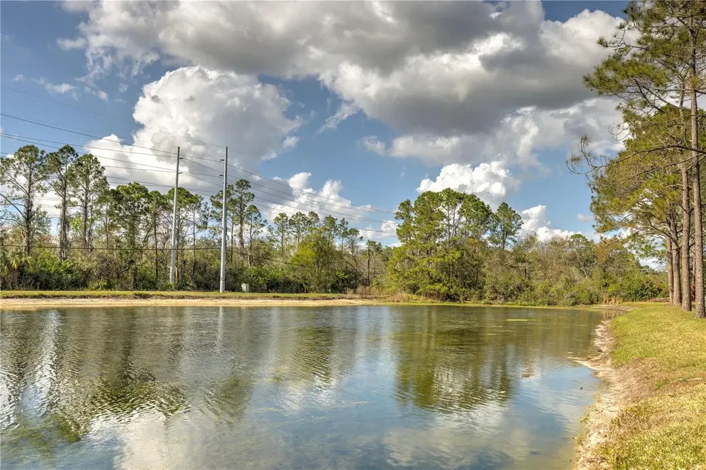 13304 Sanctuary Cove Drive Tampa FL 33637