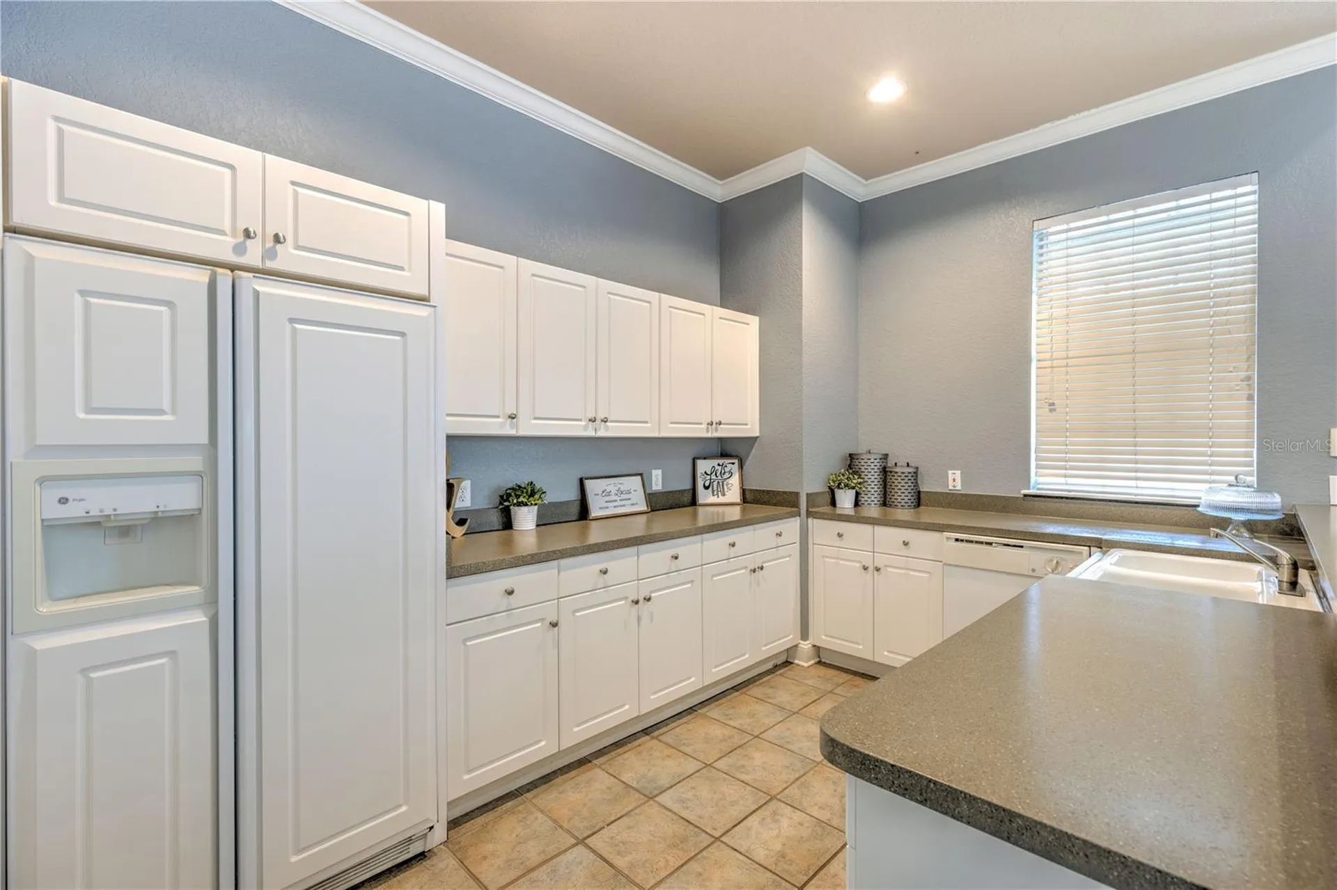 13304 Sanctuary Cove Drive Tampa FL 33637