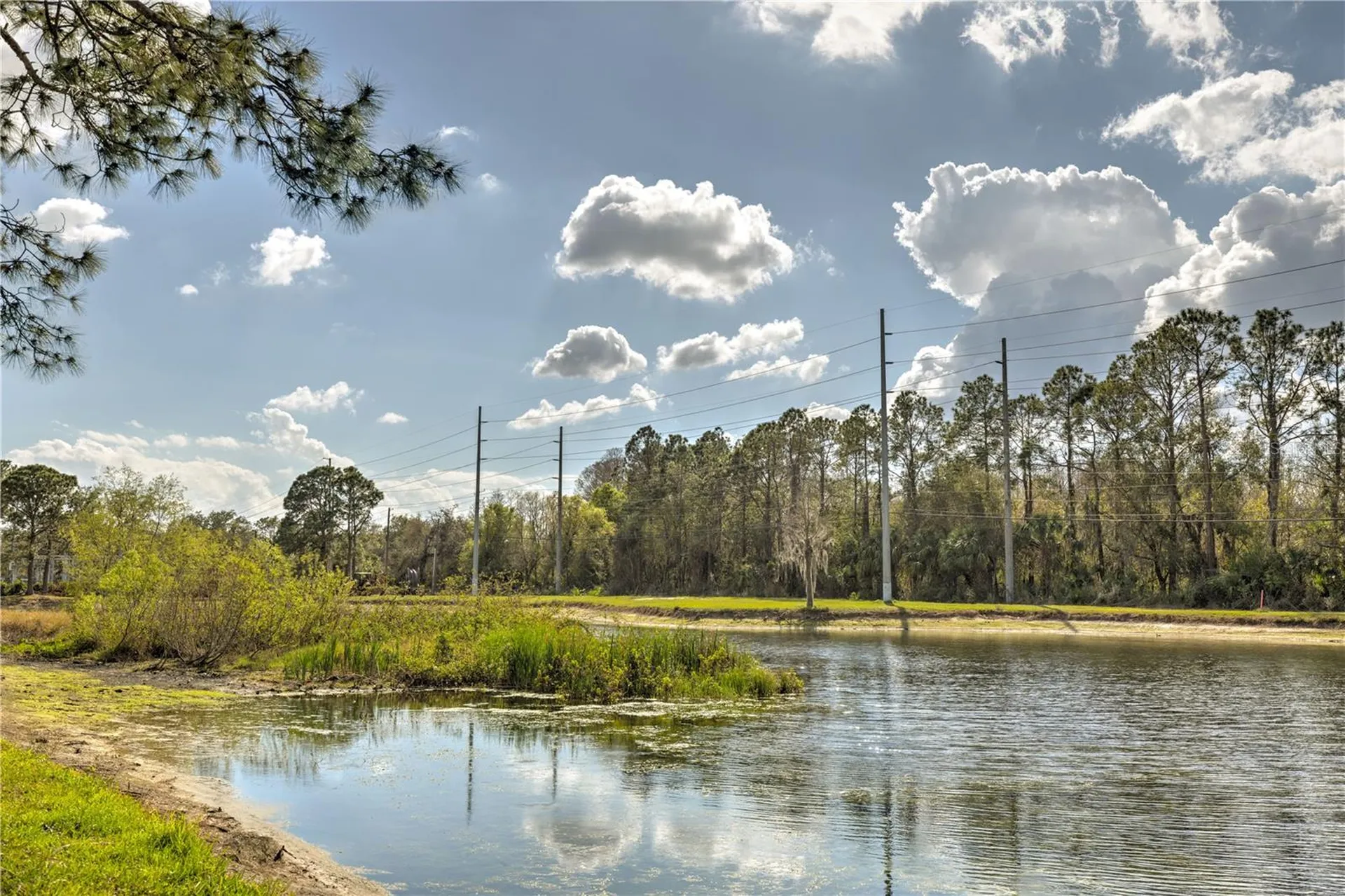 13304 Sanctuary Cove Drive Tampa FL 33637