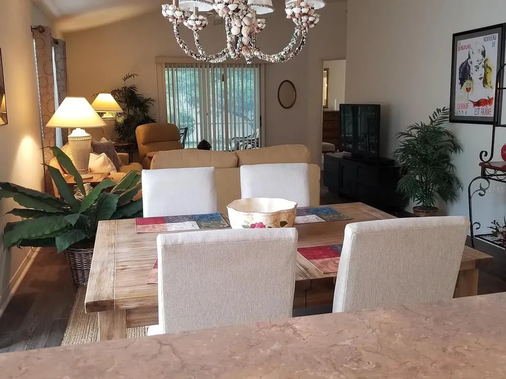 1255 Virginia Drive The Villages FL 32162